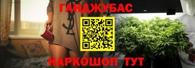 таблы Будённовск