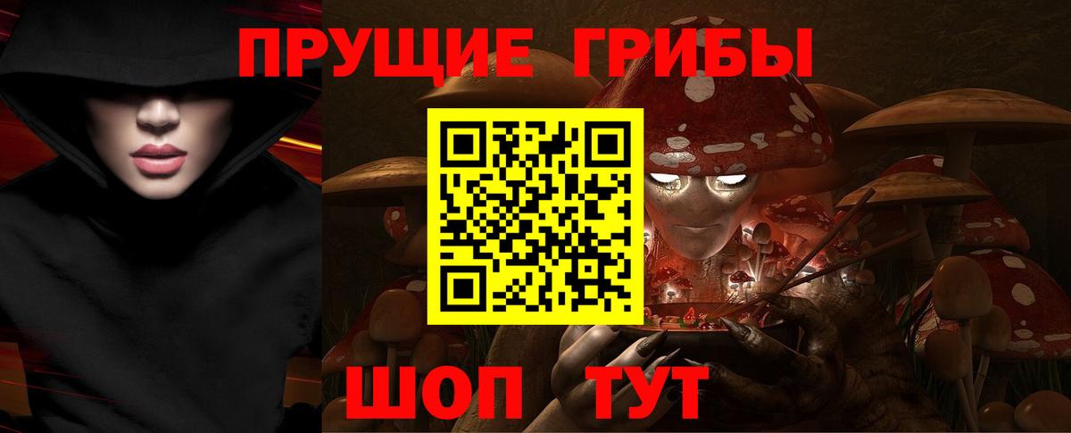 Галлюциногенные грибы Cubensis Удомля